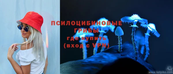 крисы Алексеевка