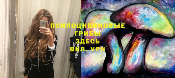 гидропоника Абаза