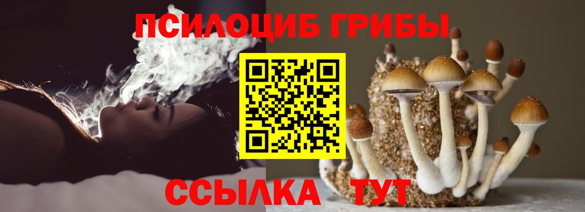 Дивногорск  Галлюциногенные грибы GOLDEN TEACHER  Вход с VPN 